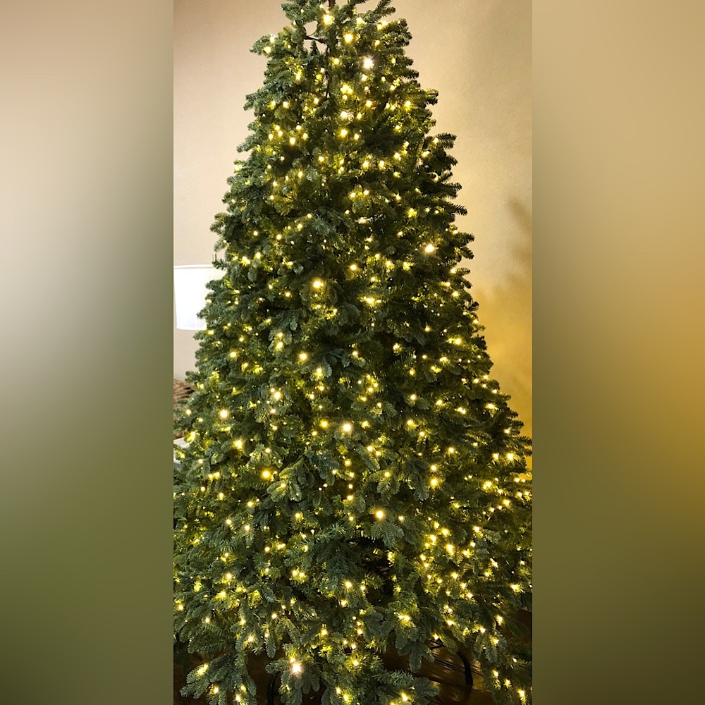 King of Christmas 9ft Aspen fir Christmas tree